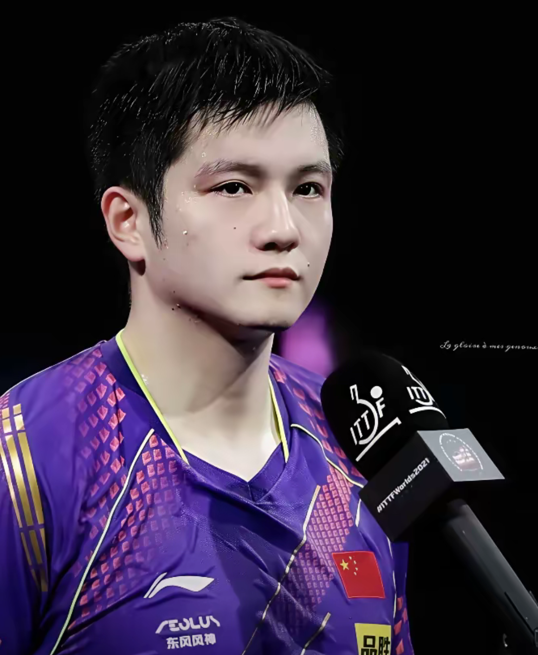 波兰队力克英格兰队,樊振东状态火热 波兰队力克英格兰队,樊振东状态火热