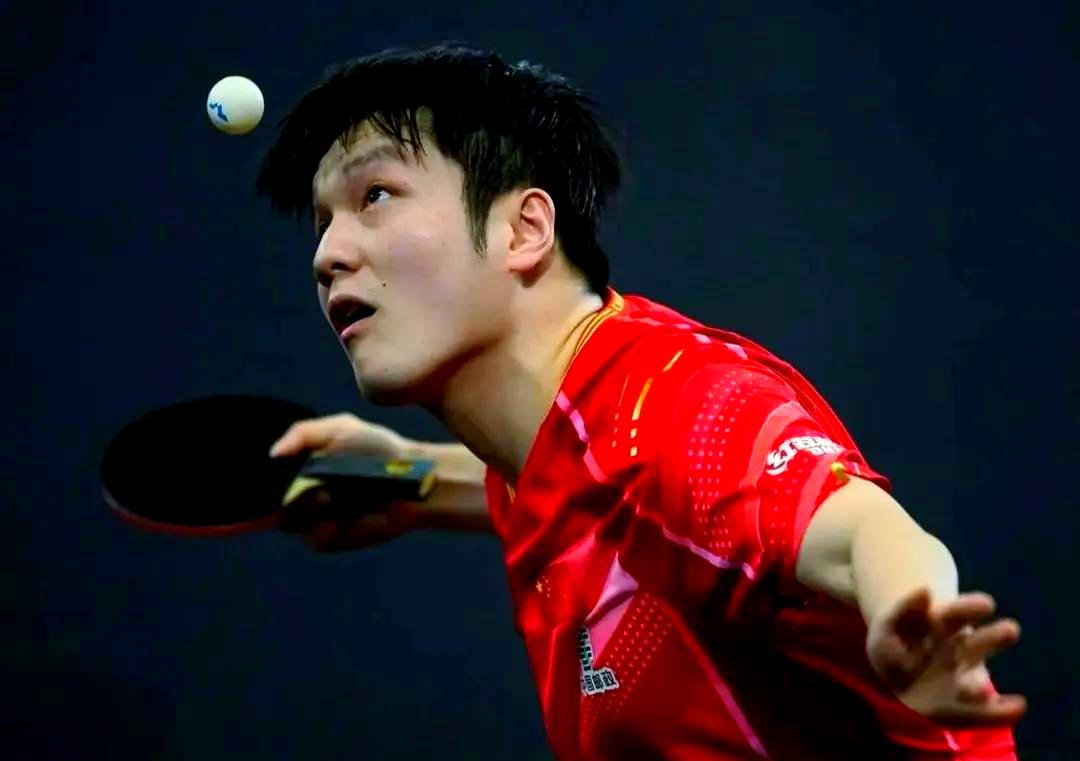 波兰队力克英格兰队,樊振东状态火热 波兰队力克英格兰队,樊振东状态火热