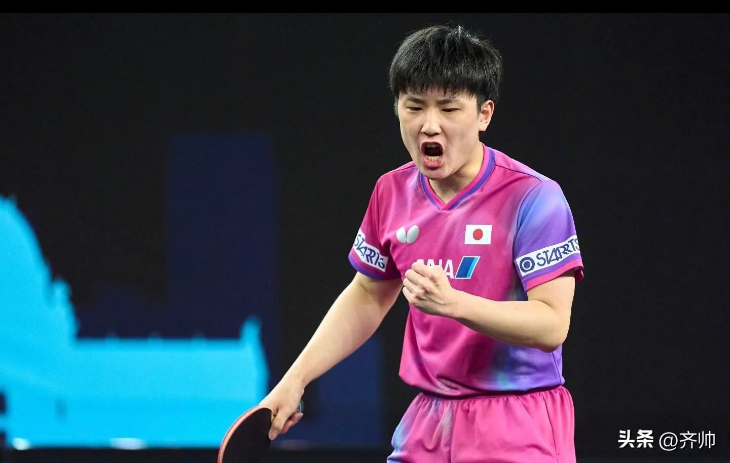 波兰队横扫奥地利队,张本智和状态火热 波兰队横扫奥地利队,张本智和状态火热