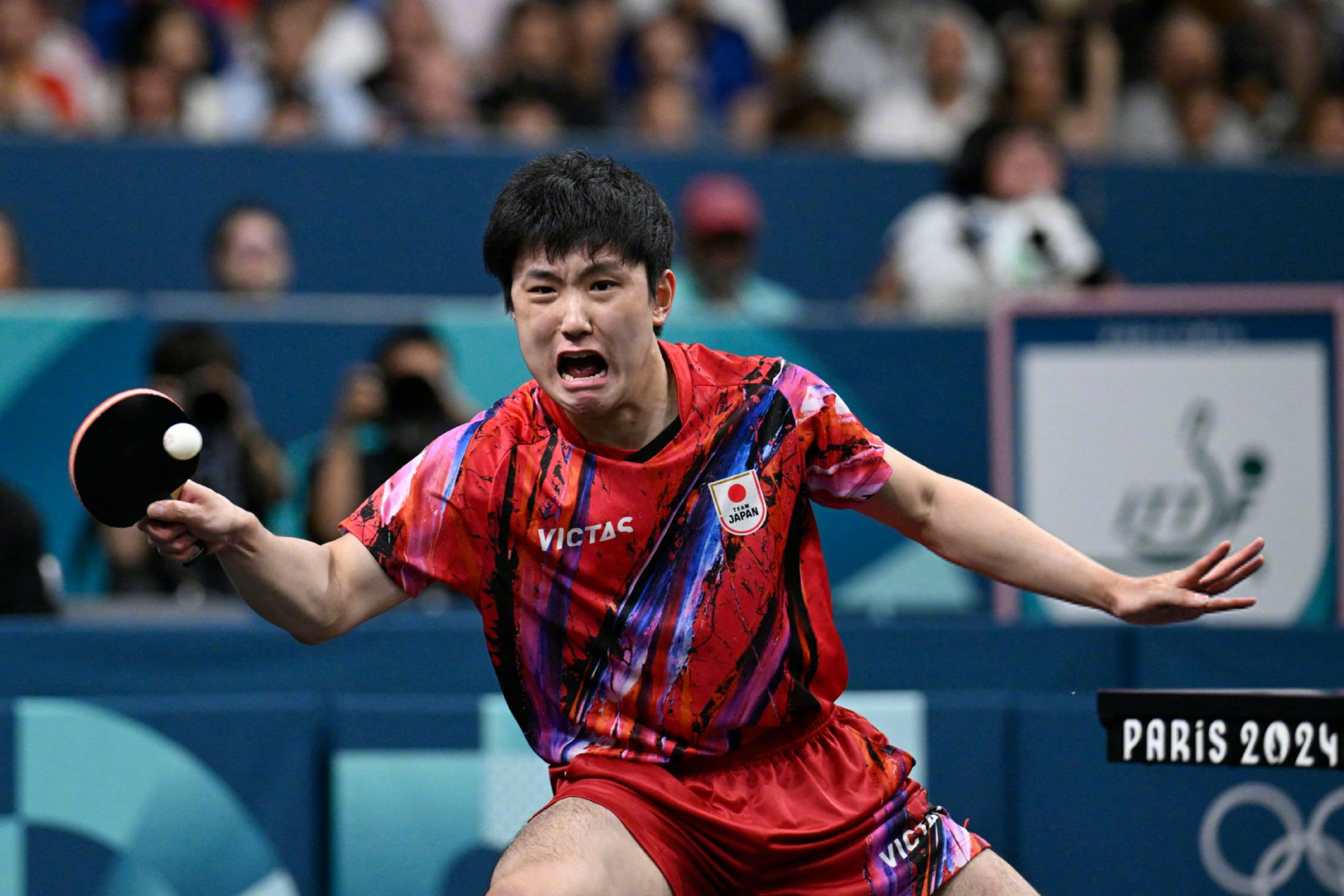 波兰队横扫奥地利队,张本智和状态火热 波兰队横扫奥地利队,张本智和状态火热