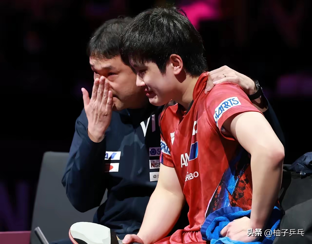 法国队横扫日本队，张本智和扛起全队