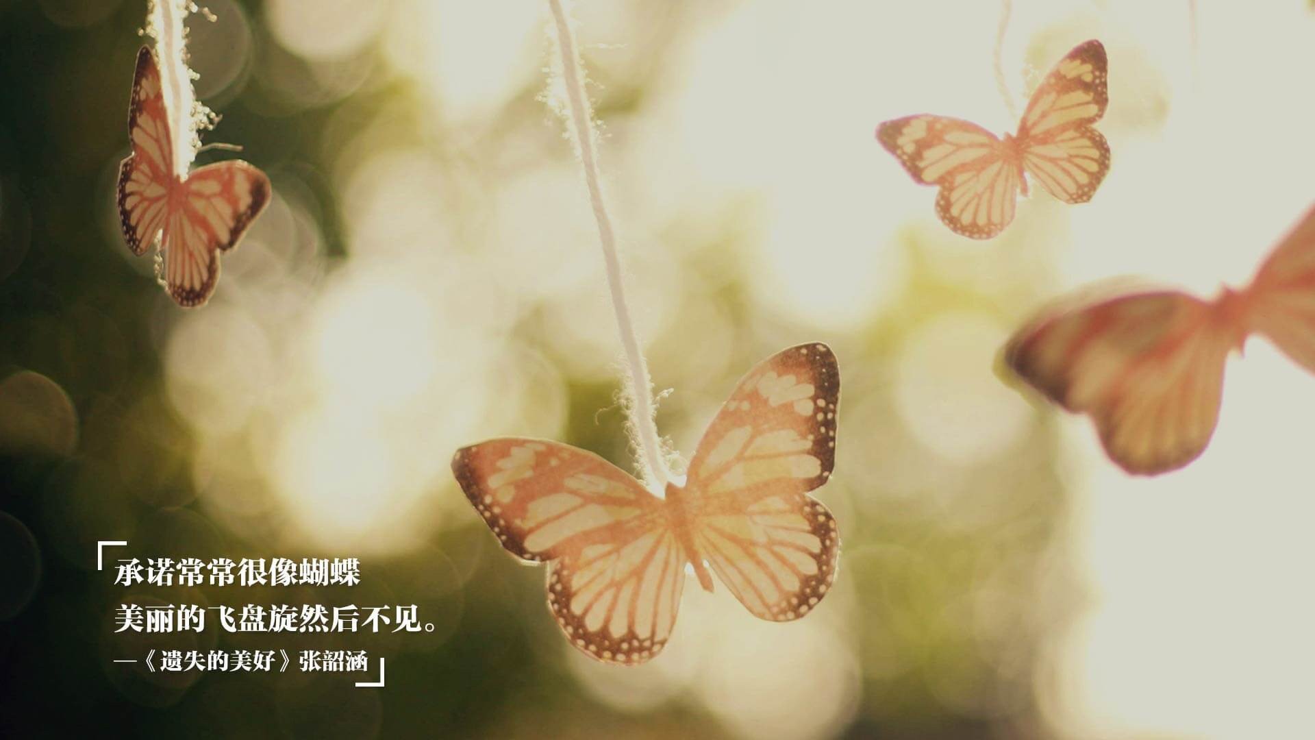 英超争冠之夜，加克波关键回合不手软，红军绝境中点燃希望