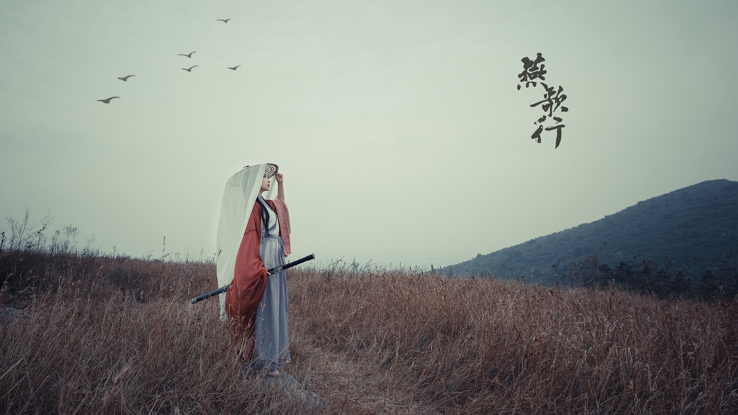 从沈阳到亚特兰大，米切尔的蜕变与辽宁队的逆袭之战