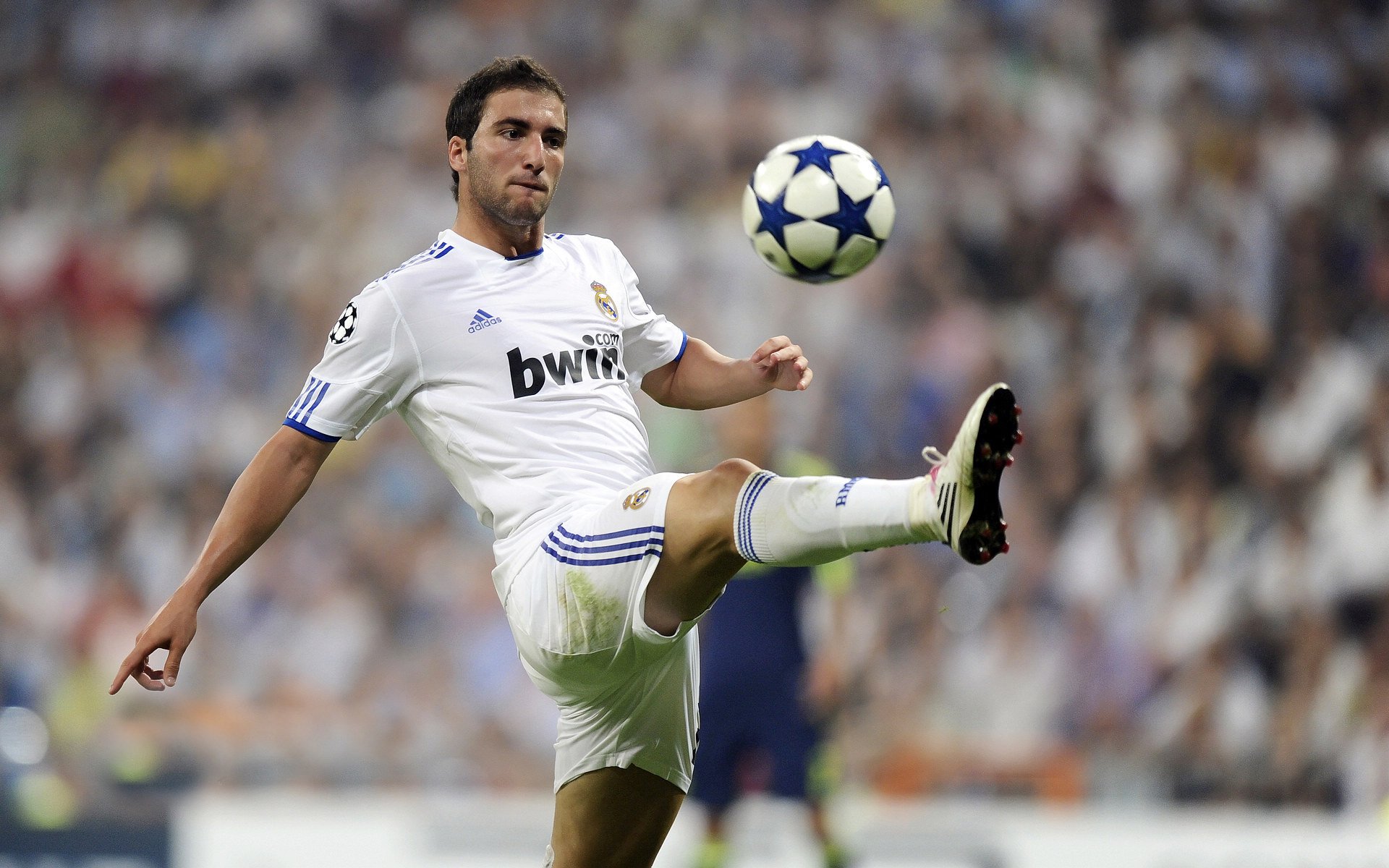 绿茵场上的碾压，羽毛球场上的火焰，当德国战车与陈雨菲点燃竞技之夜